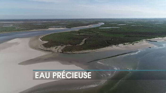 La chronique éco : Eau précieuse