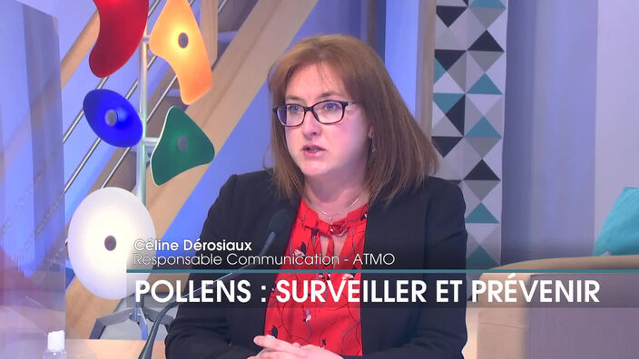 Pollens : surveiller et prévenir