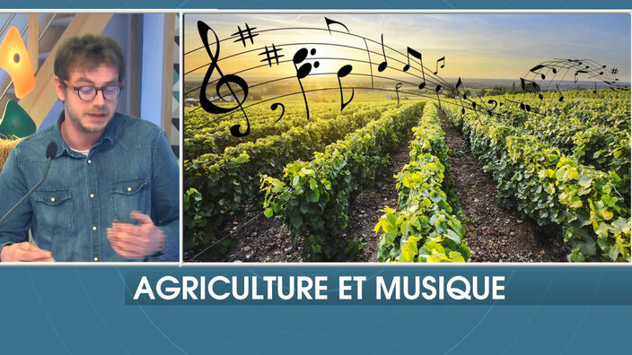 La génodique : de la musique diffusée aux plantes