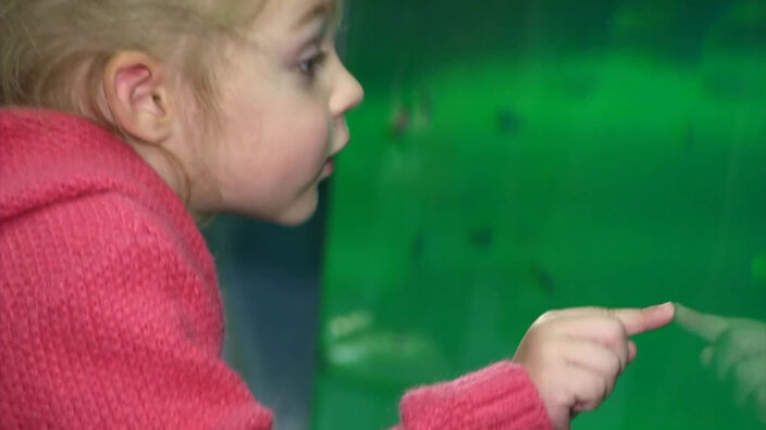 Réouverture de Nausicaa