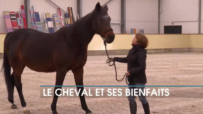 Le cheval et ses bienfaits