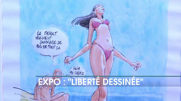 Une exposition sur la "Liberté Dessinée"