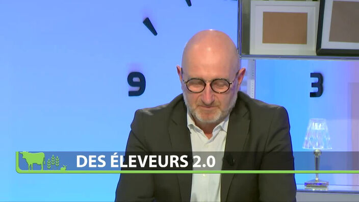 Paroles d'experts : la filière élevage