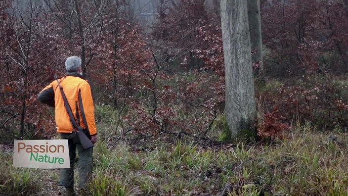 Passion Nature :  Au coeur de la forêt d'Hallate