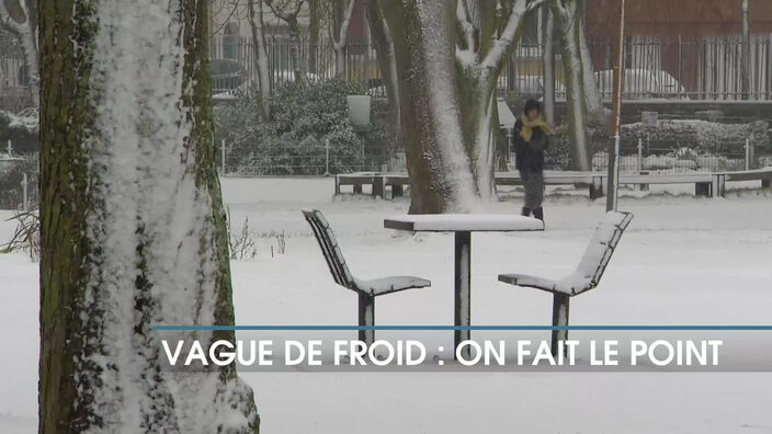 Vague de froid : on fait le point