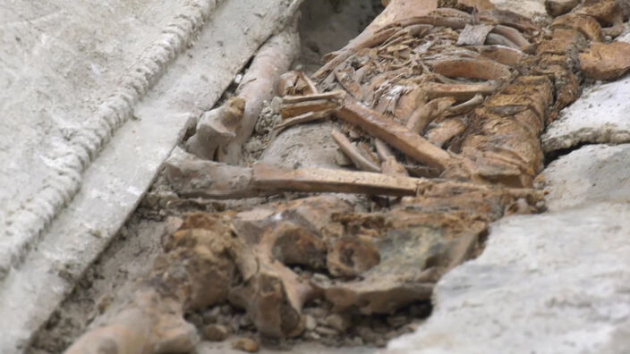 Le contenu d'un sarcophage, découvert à Arras, vient d'être dévoilé