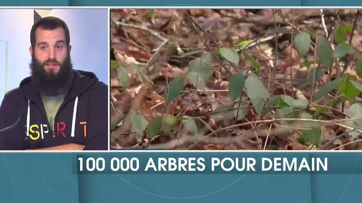 100 000 arbres pour demain : Replanter des arbres pour sauver la planète