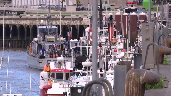 Boulogne-sur-mer : quels poissons sur les étals ?