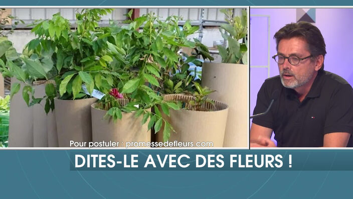 Les chasseurs d'emploi : Des emplois dans le domaine des fleurs