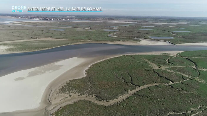 Drone de vue : la Baie de Somme