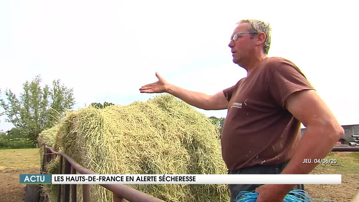 La région Hauts-de-France en alerte sécheresse