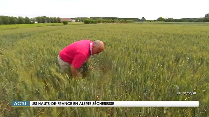 Le JT des Hauts-de-France du jeudi 4 juin