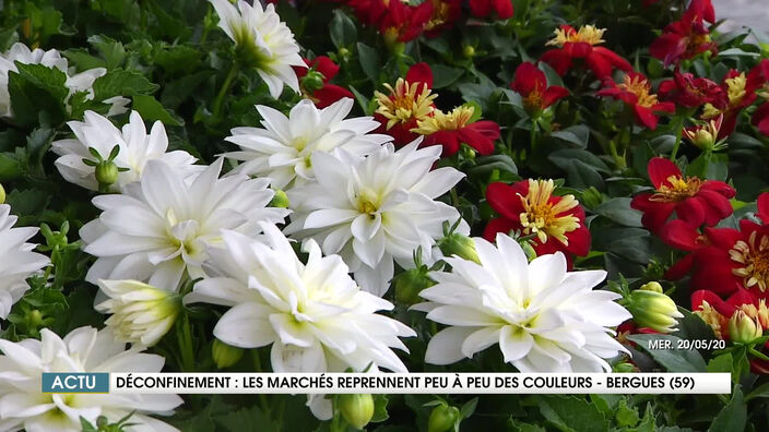 Le JT des Hauts-de-France du mercredi 20 mai