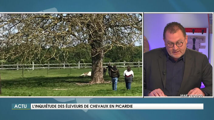 Inquiétude des éleveurs de chevaux en Picardie