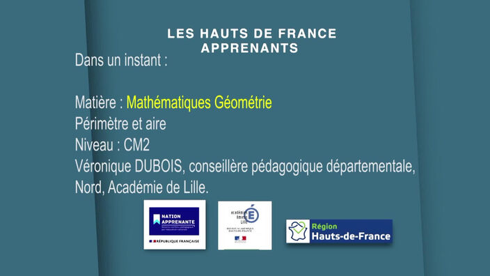 CM2 | Mathématiques -Géométrie | Périmètre et aire