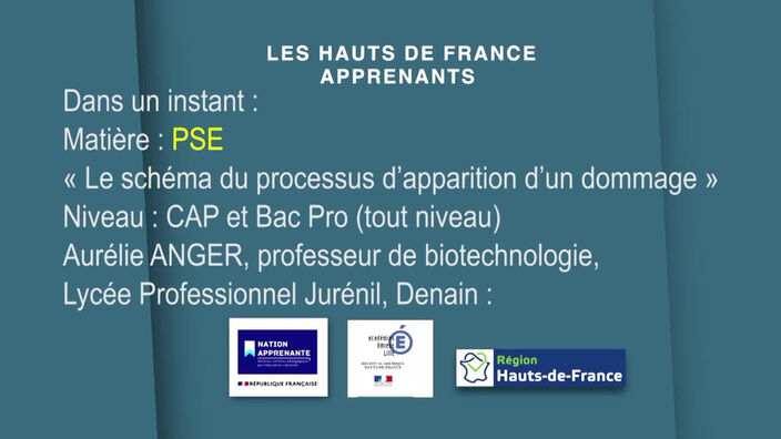 CAP et BAC PRO | Protection Santé Environnement | Le schéma du processus d'apparition d'un dommage