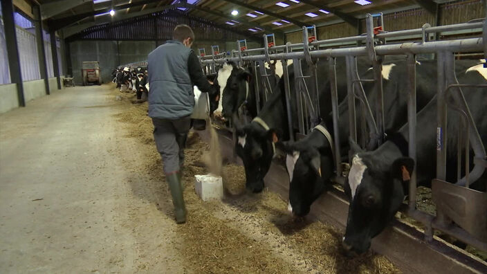 A Saint-Pol-sur-Ternoise, la bouteille de lait ne cache rien de ses origines