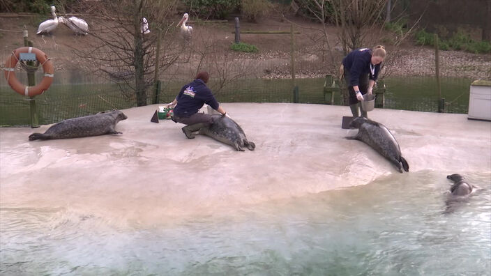 idée sortie : le parc zoologique de Fort-Mardyck