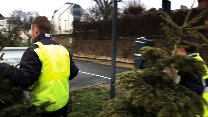 A Saint-Quentin, le devenir des sapins de Noël est écologique !