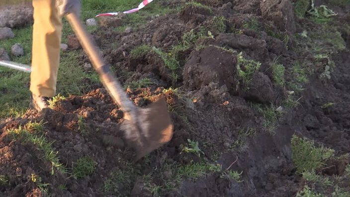 Plantation d'une haie "anti déchets"