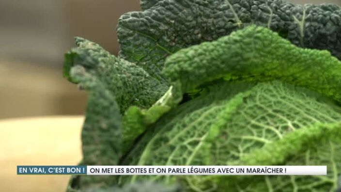 Les légumes de saison en Hauts-de-France