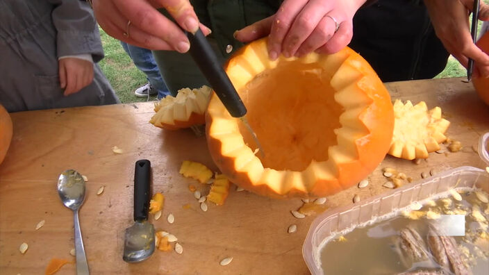 Tuto : Sculpter une citrouille terrifiante pour halloween 