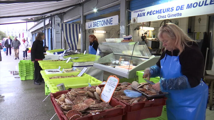 C'est la saison de la Saint Jacques