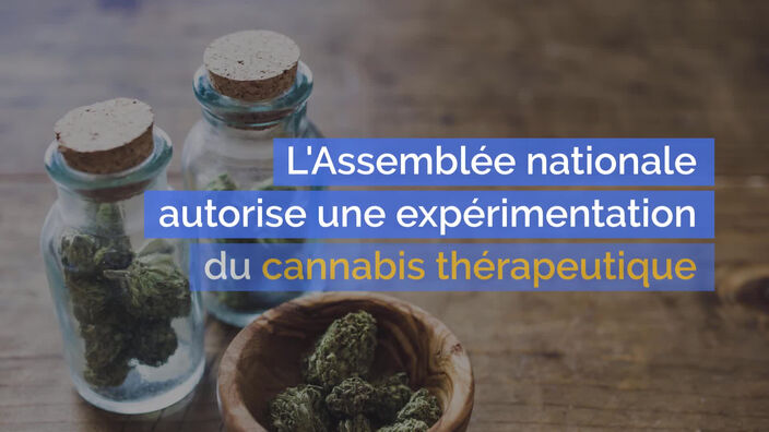 L'Assemblée nationale autorise une expérimentation du cannabis thérapeutique