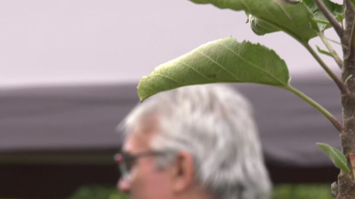 Les Journées des plantes : Escapade florale au Château de Chantilly