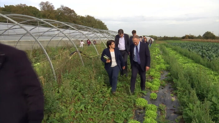  Lubrizol : les maraîchers attendent la levée de l'arrêté interdisant la commercialisation de leurs légumes