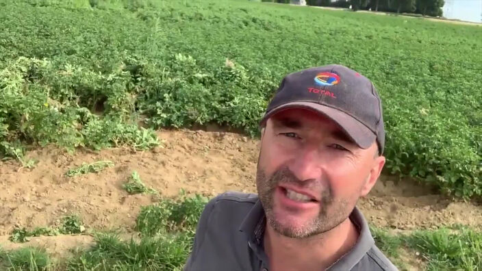 Coup de gueule : Bruno Cardot, agriculteur à dénonce le vol de ses pommes de terre