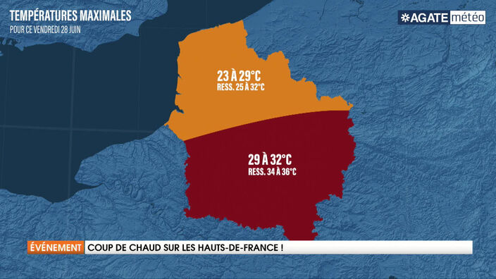 Canicule : Coup de chaud sur les Hauts-de-France