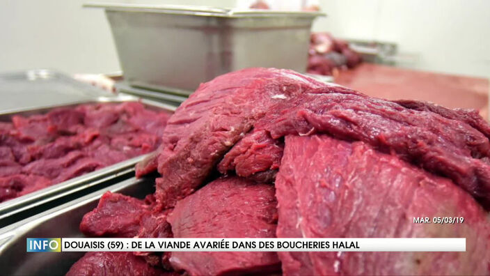 De la viande avariée dans des boucheries Halal