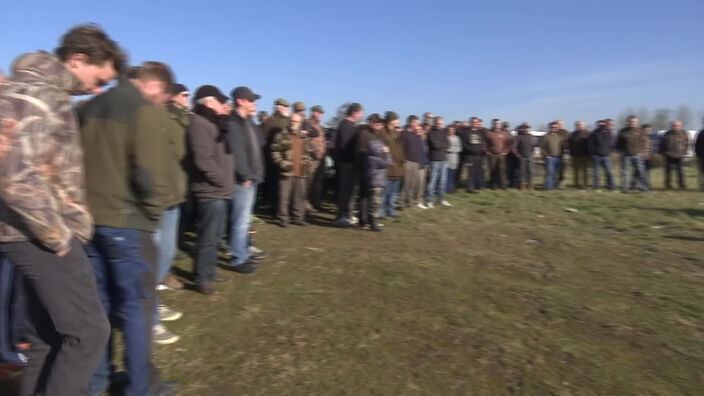 Les chasseurs de la Baie de Somme contestent l'interdiction de chasser les oies cendrées en février