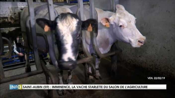 Imminence a quitté sa ferme direction Paris et le salon de l’agriculture 2019