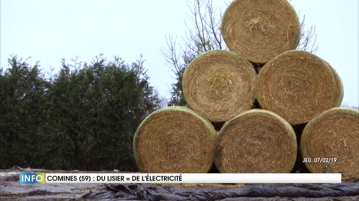 Du lisier pour produire de l’électricité grâce à la méthanisation