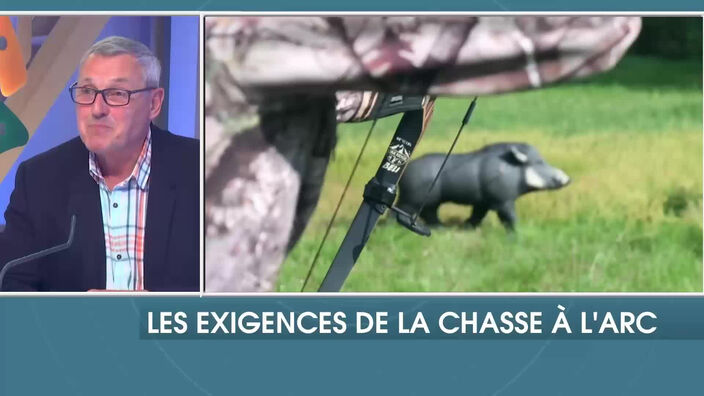 Les exigences de la chasse à l'arc