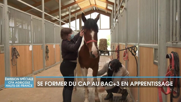 CFA Agricole Public Hauts-de-France : Se former du CAP au Bac +3 en apprentissage