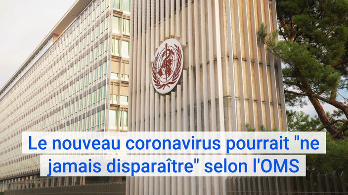 Covid-19 : le nouveau coronavirus pourrait "ne jamais disparaître" selon l'OMS