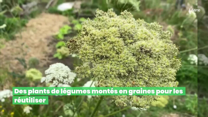 LEREO Il travaille en permaculture pour le respect de la planète