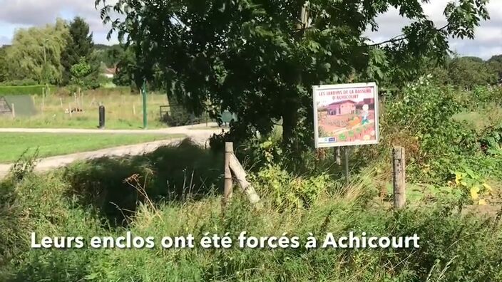 Les enclos des jardins de la Bassure forcés à Achicourt : une nuit pour retrouver les animaux