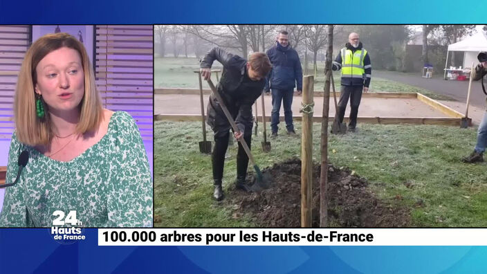 Objectif ? 100 000 arbres à replanter 