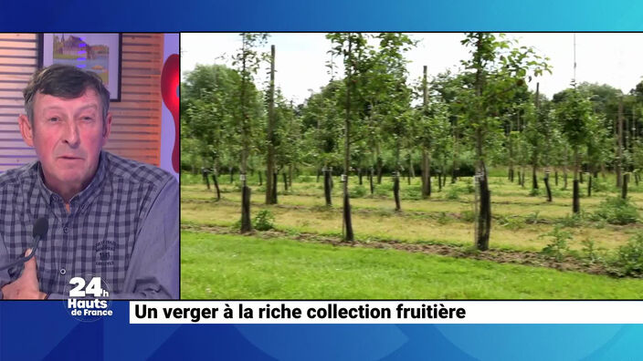 Un verger à la riche collection fruitière 