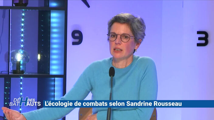 Sandrine Rousseau : "Le problème n'est pas de savoir si je suis stupide ou pas"