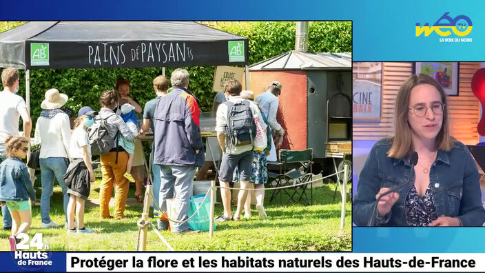 Protéger la flore et les habitants naturels des Hauts-de-France