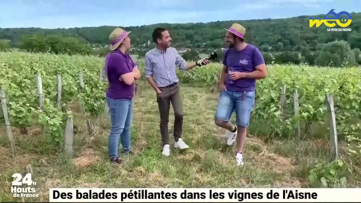 Des balades pétillantes dans les vignes de l’Aisne