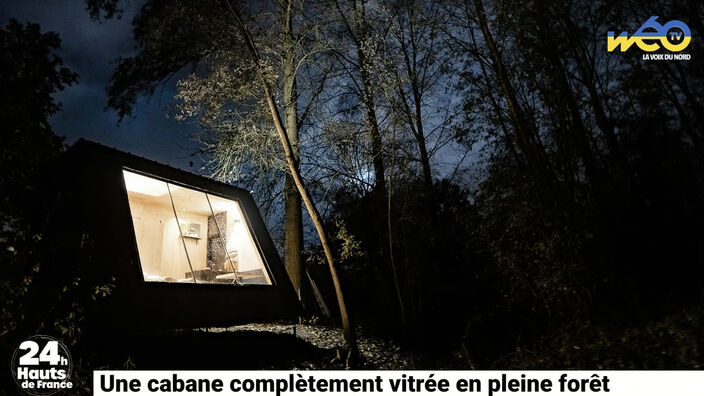 Une cabane complètement vitrée en pleine forêt