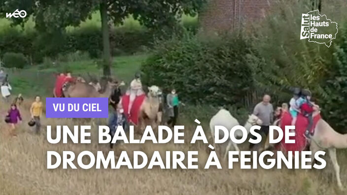 Vu du ciel : une balade à dos de dromadaire à Feignies