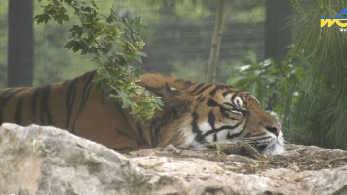 Les 70 ans du zoo d’Amiens, parlons-en !