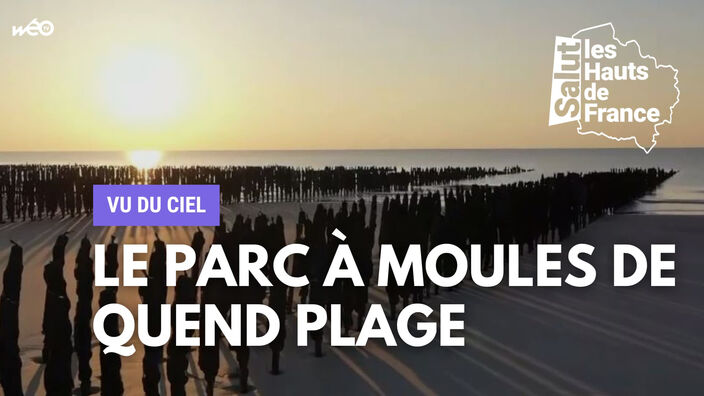 Vu du ciel : Le parc à moules de Quend Plage